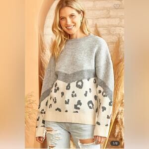 Transitional Women’s Grey/Neutral Sweater with Leopard and color block style.